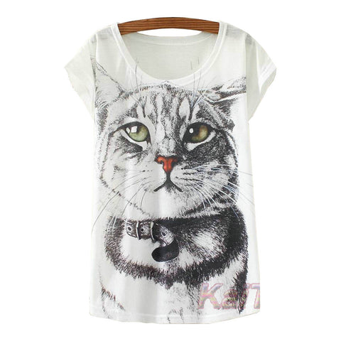 Black & White Cat