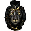 HelloTem Unisex 3d Printed Big Pockets Drawstring Hoodie Sweatshirt (C154, S/M)